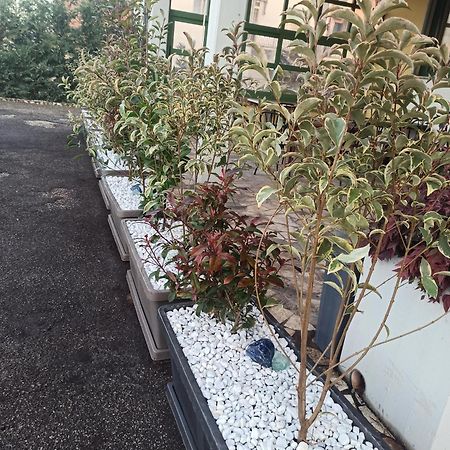 Albergo La Rovere Roverbella Exteriér fotografie